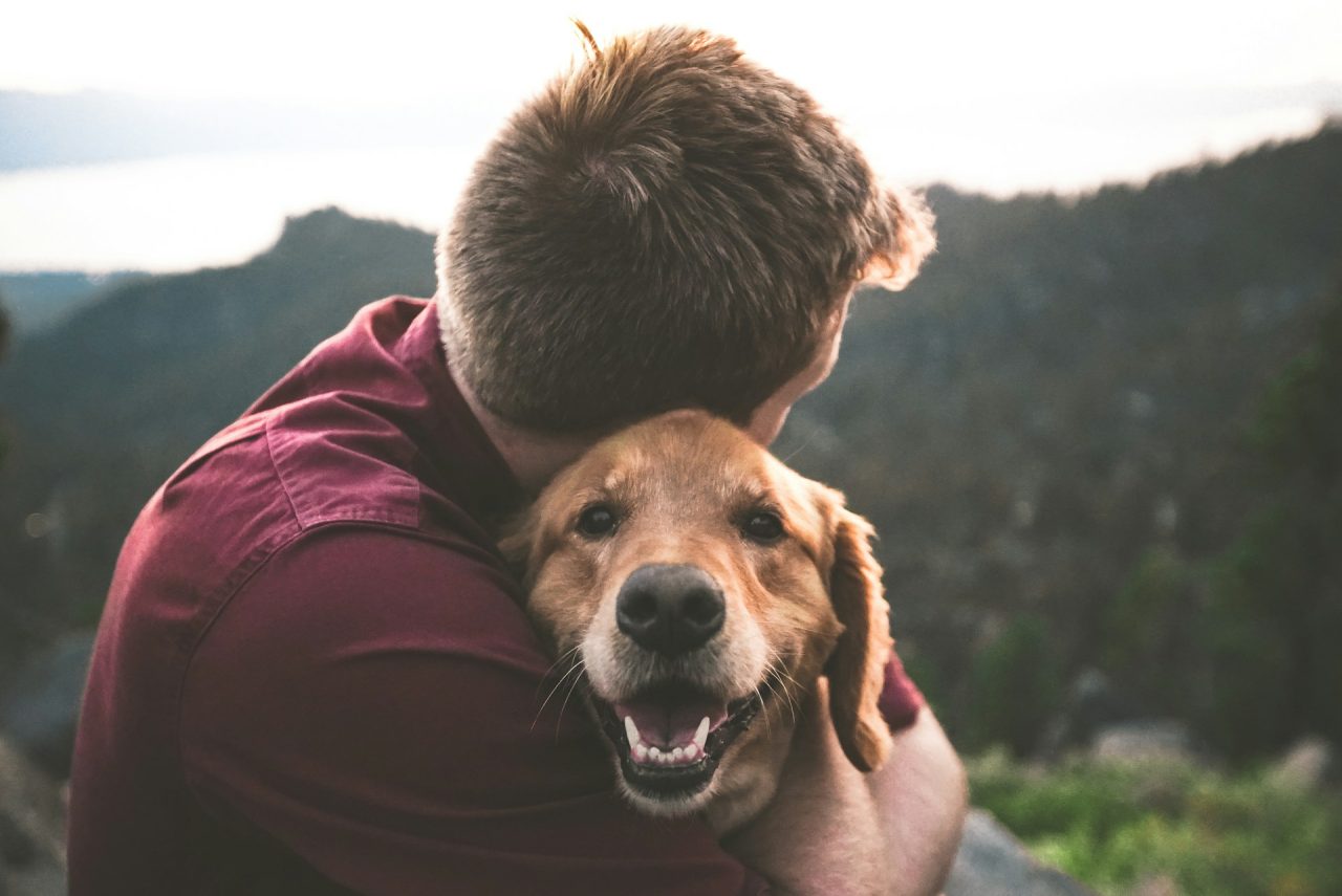 Seguro para mascotas: Protección y tranquilidad para ti y tu animal